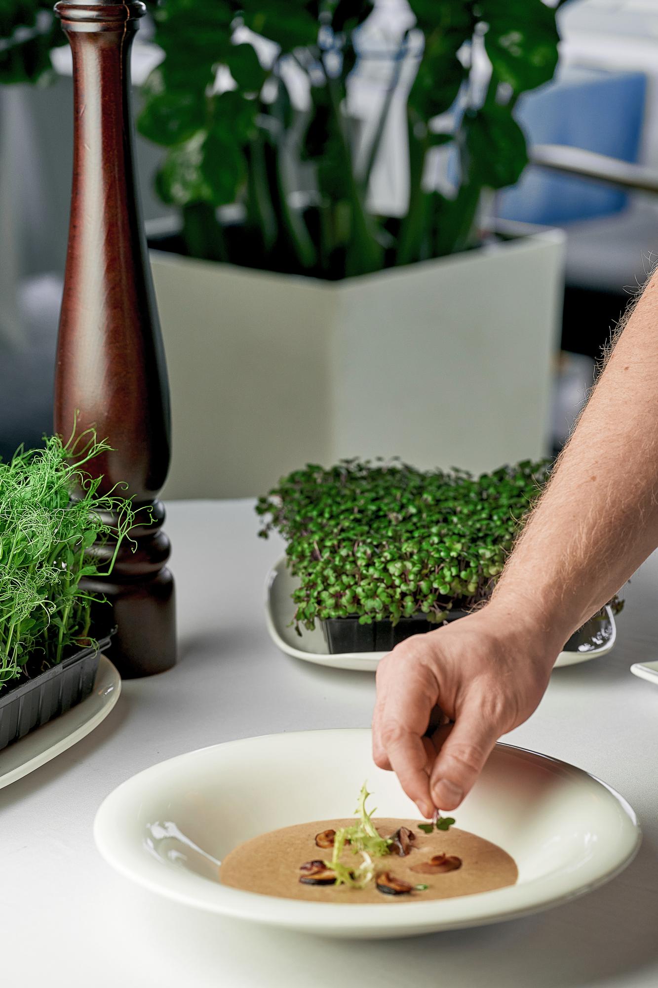 Plated tasting portion with microgreens
